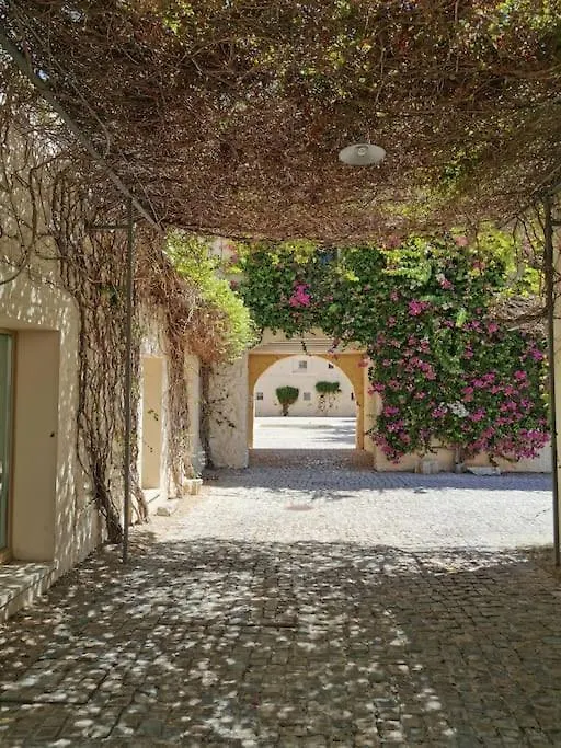 Nova Casa Com Piscina No Convento Das Bernardas Tavira