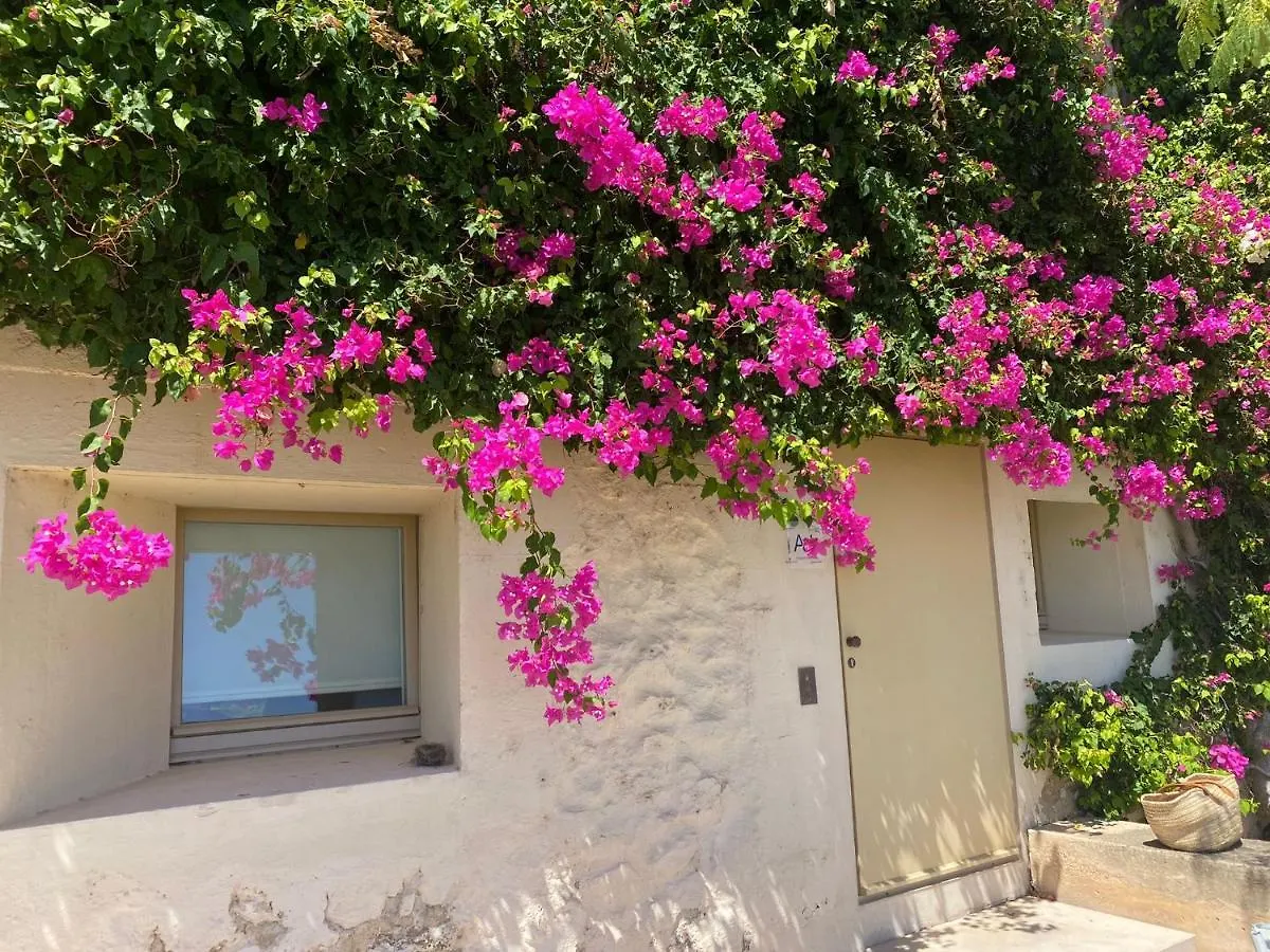 Appartamento Nova Casa Com Piscina No Convento Das Bernardas Tavira Portogallo